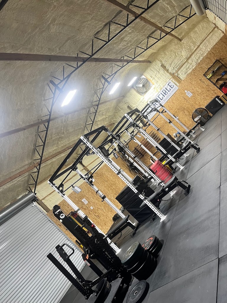  Crucible Performance