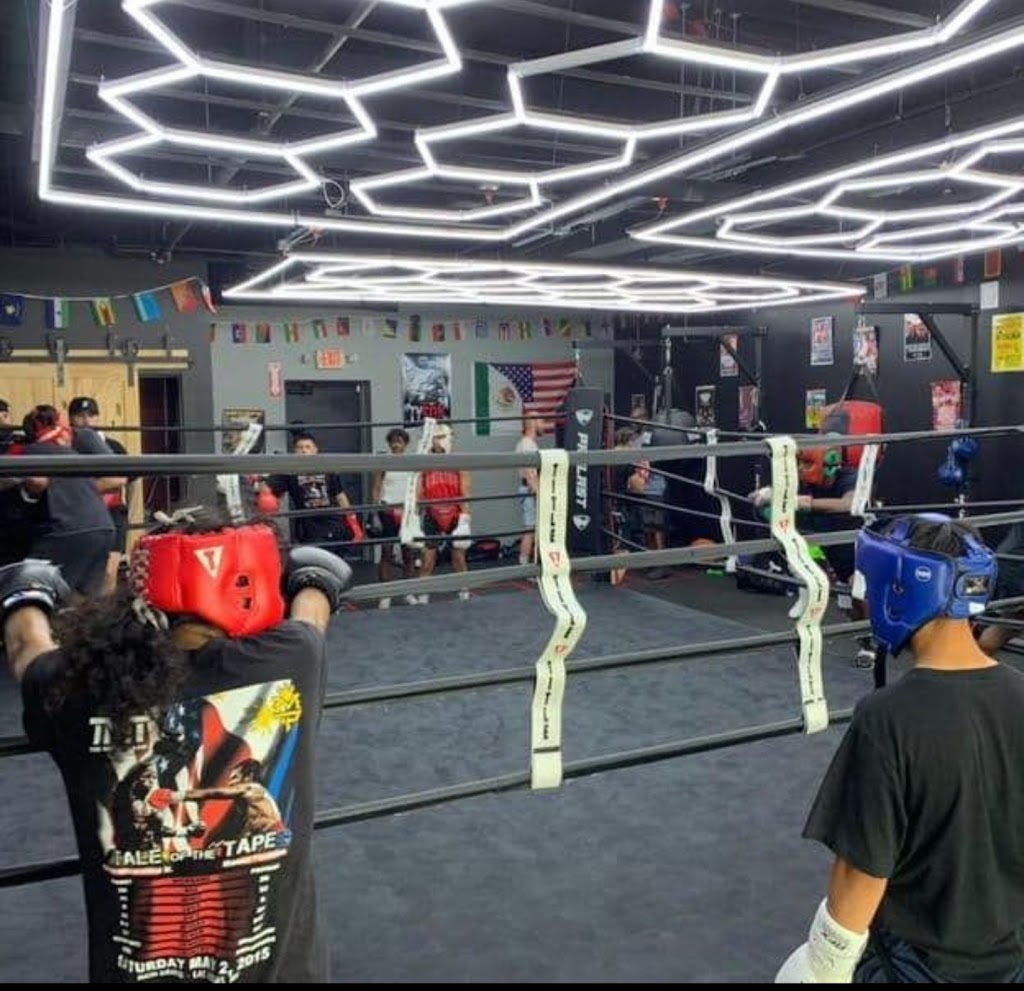  Spartan Boxing Club