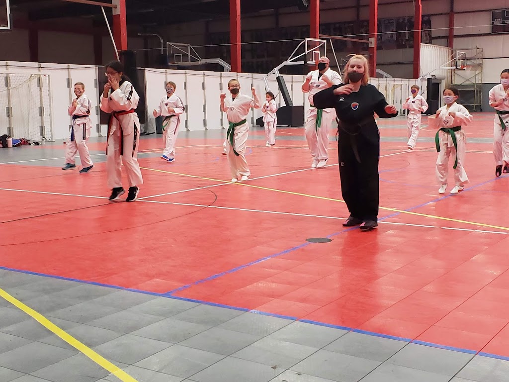  Lincoln Taekwondo Academy