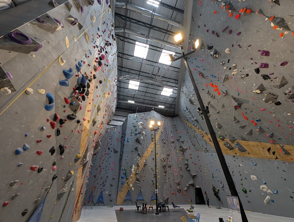  Mosaic Climbing
