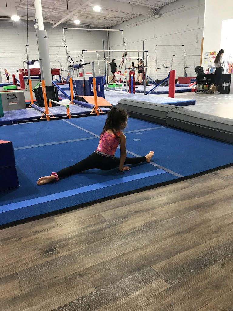  VIBE Gymnastics