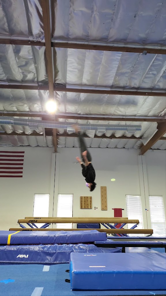  Dream Elite Gymnastics Academy