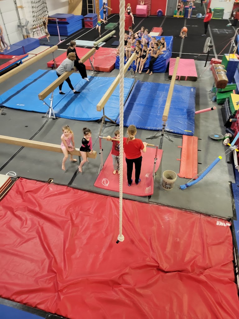  Gymnastics In Motion