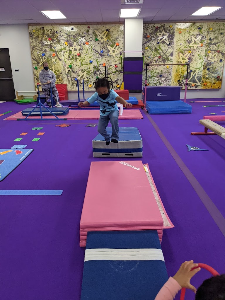  Carolina Stars Gymnastics