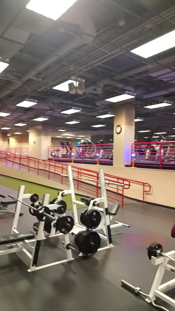  ZEROlevel Fitness & Wellness