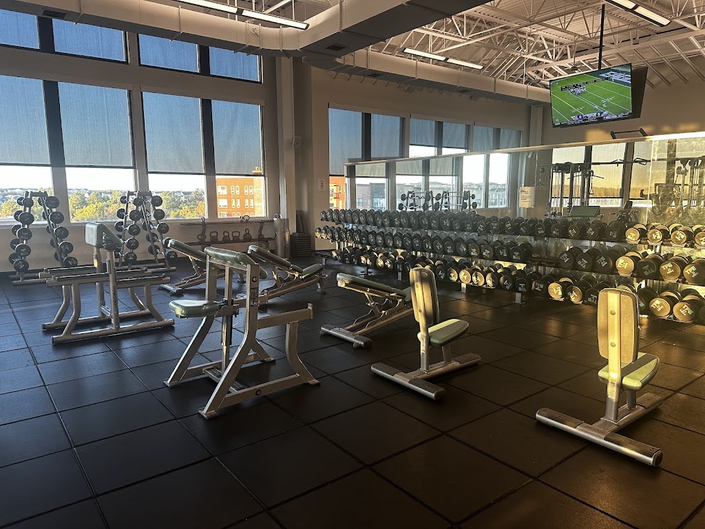  The Fitness Equation