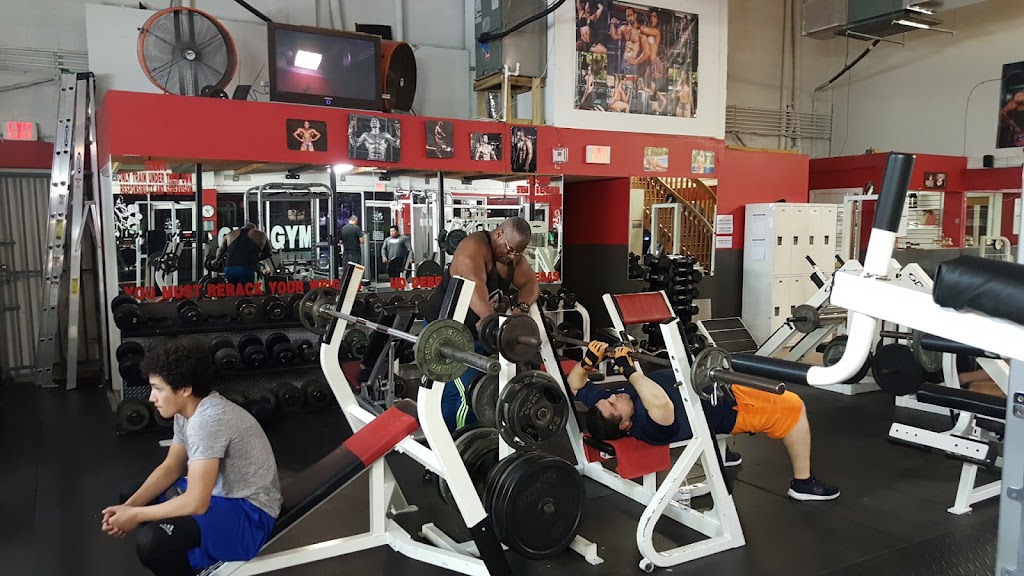  Profunda Transformación Física