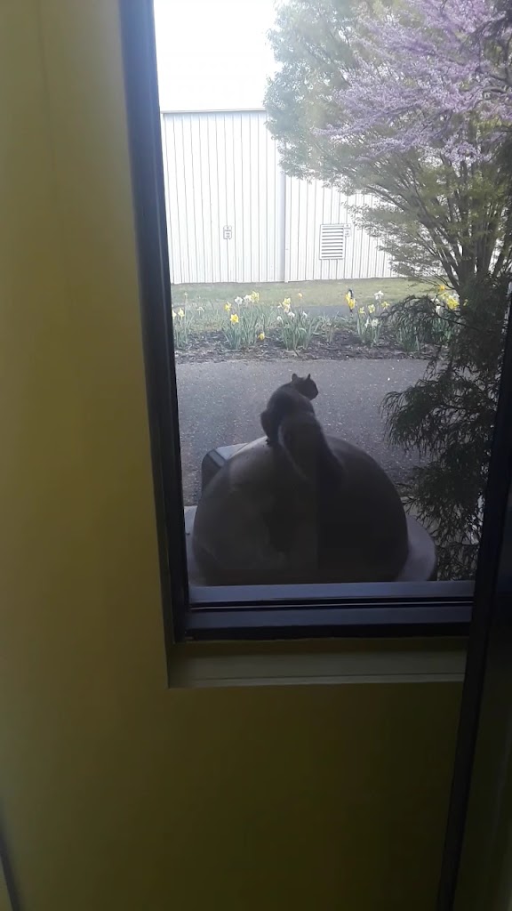  Genesis Health Clubs - The Atlantic Club Manasquan