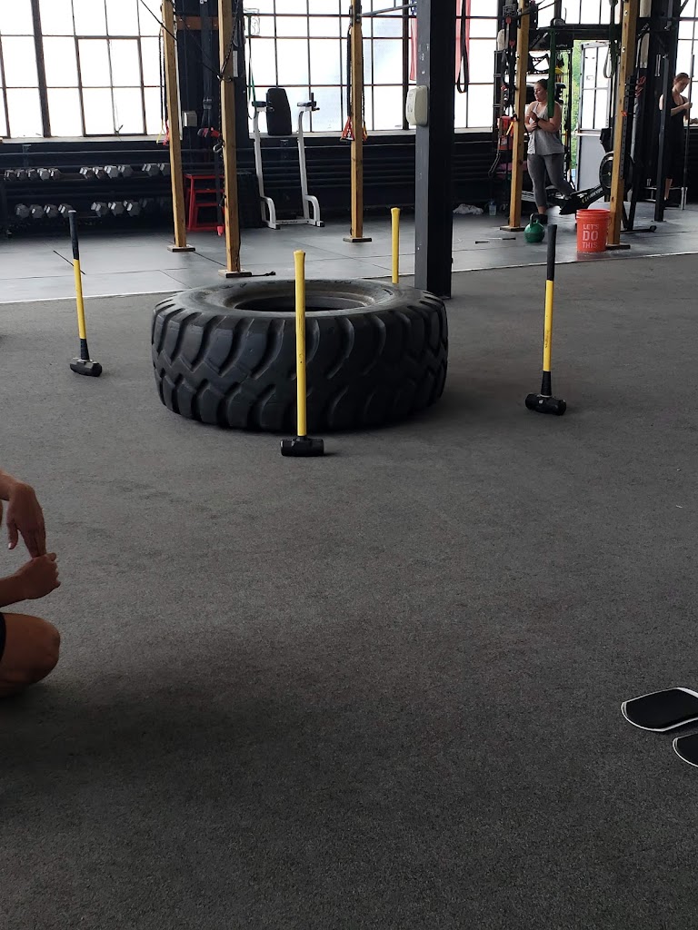  Elite Strength and Performance, LLC