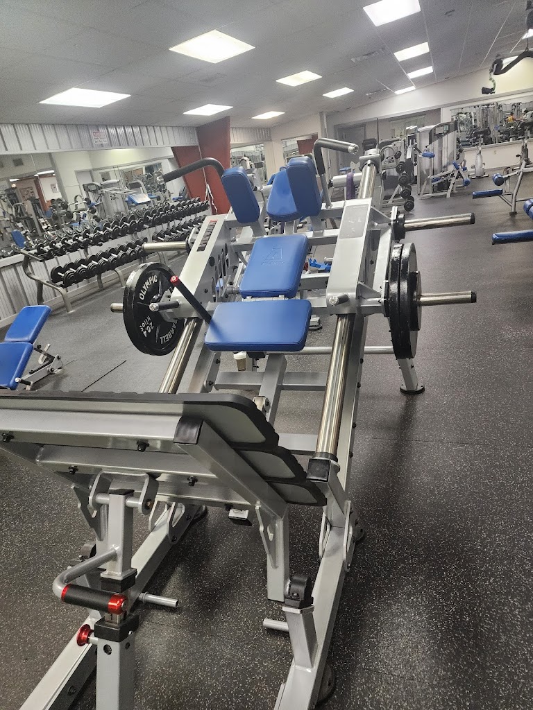  Lifted Nutrition & Fitness