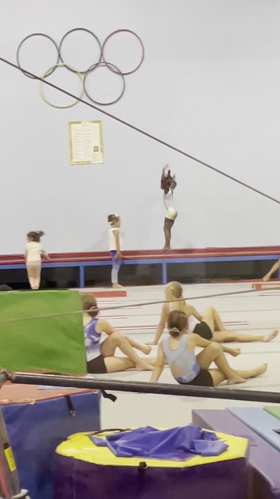  Gold Medal Gymnastics Academy