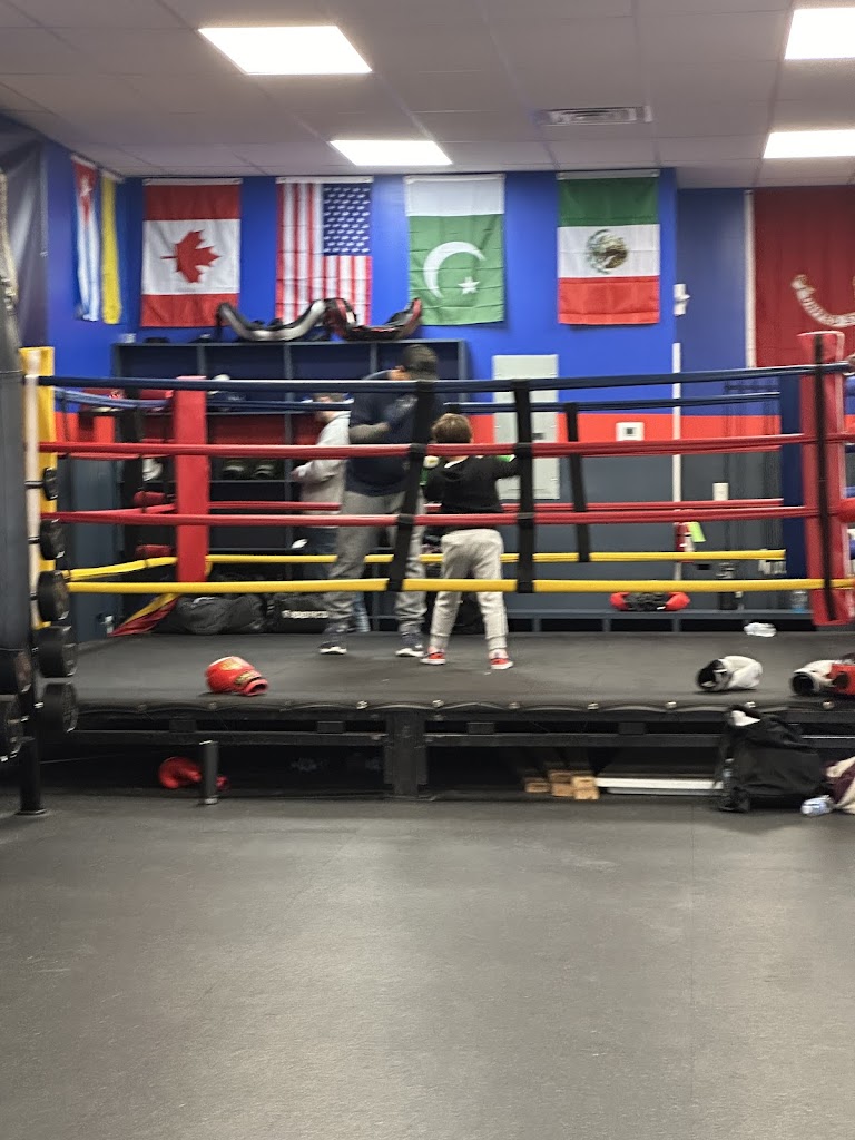  Semper FIt Boxing Club