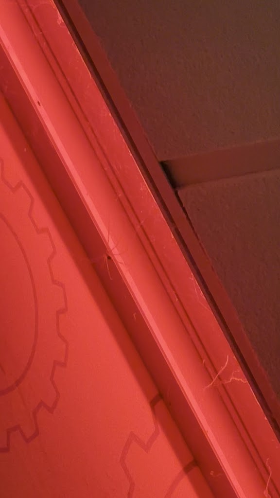  Planet Fitness Texas