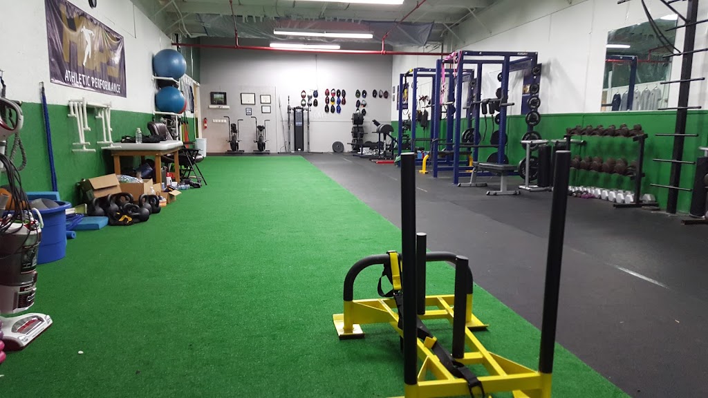  Hop's Athletic Performance