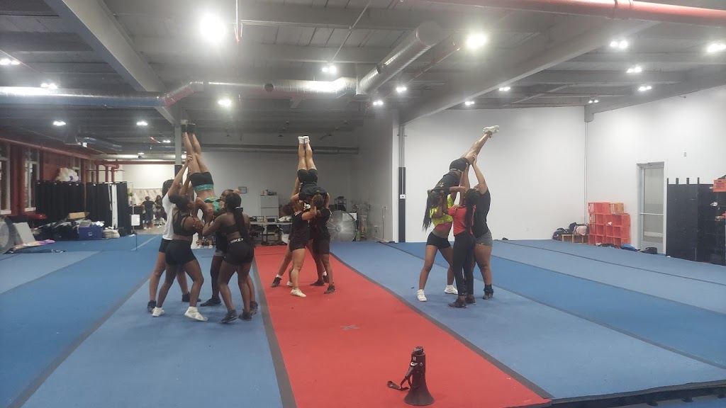  Dynasty Spirit Elite All Star Cheerleading and Dance