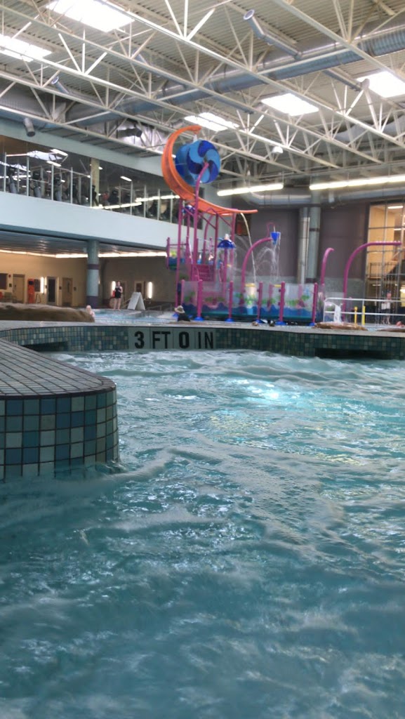  Grapevine Ping Pong (Table Tennis) Club