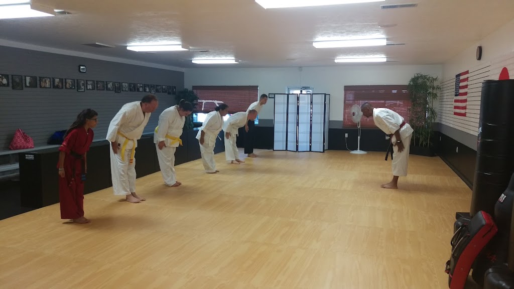  Gin Ryu (Silver Dragon) Martial Arts Academy LLC