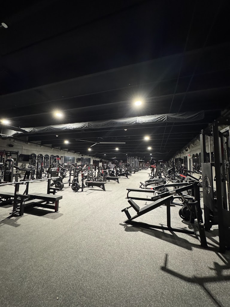  Bucked Up Fitness Queen City