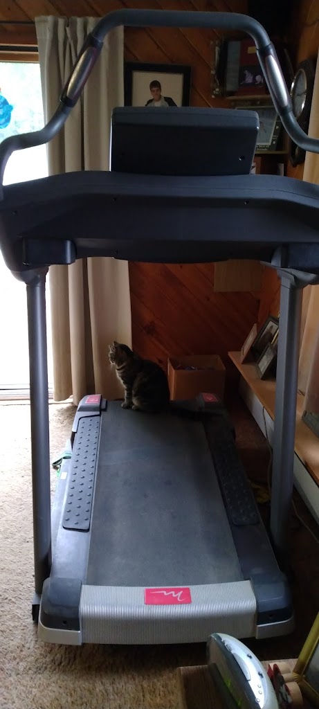  The Maine Fitness Center