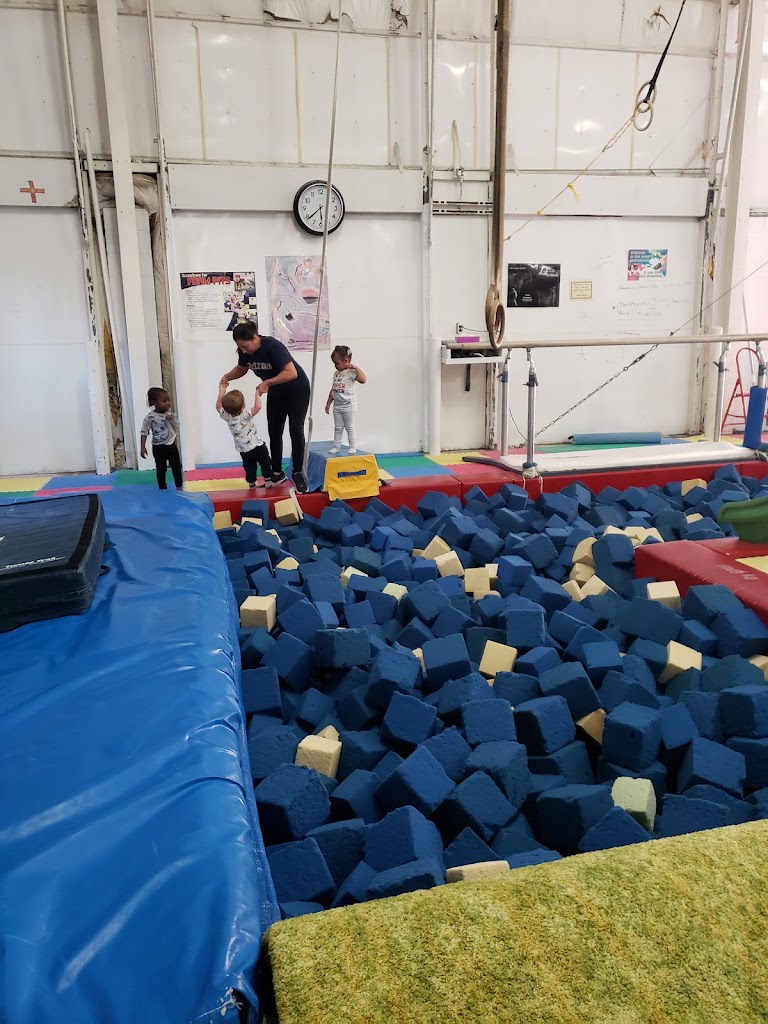  Gym-Jester Gymnastics