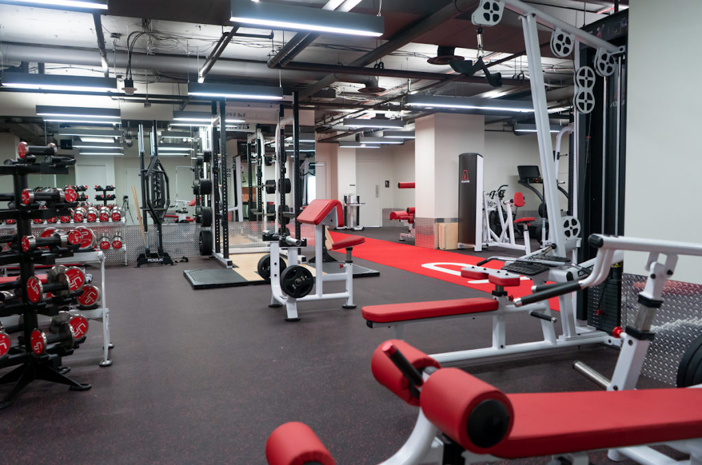  Ultimate Performance Personal Trainers