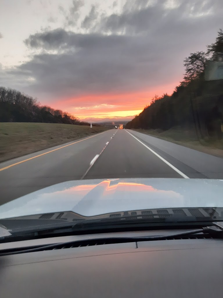  Florida Top Dog All Stars