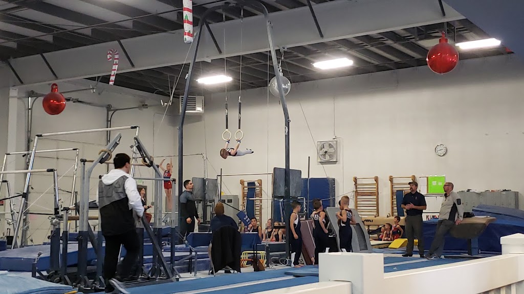  All American Gymnastics