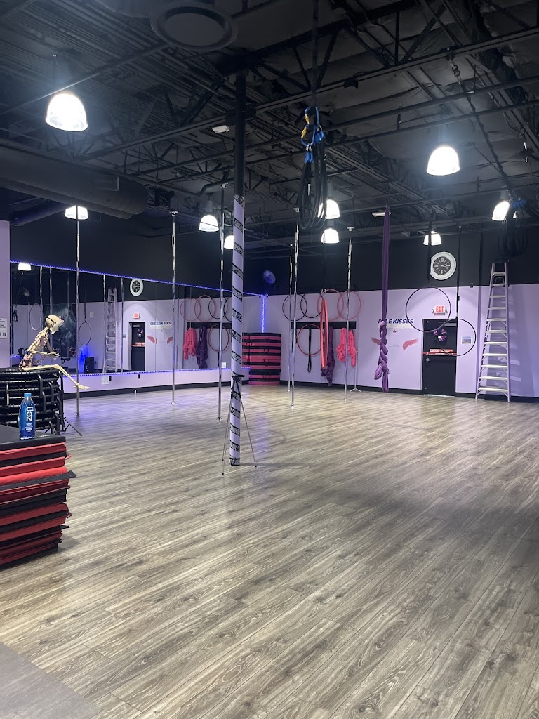  Pole Kisses, Bungee and Aerial Fitness