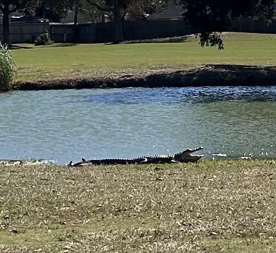  The Battleground Golf Course