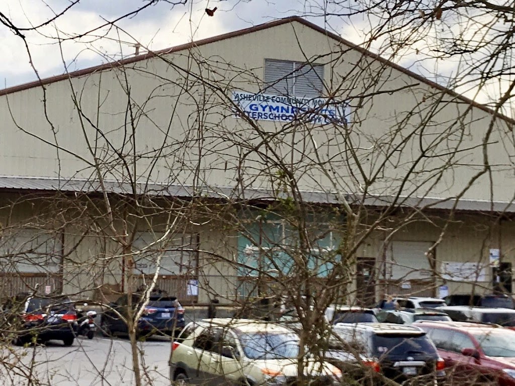  Asheville Community Movement