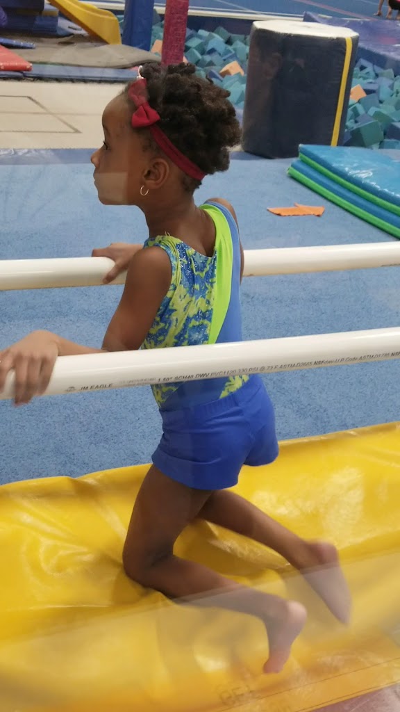  Gymnastics Express Too