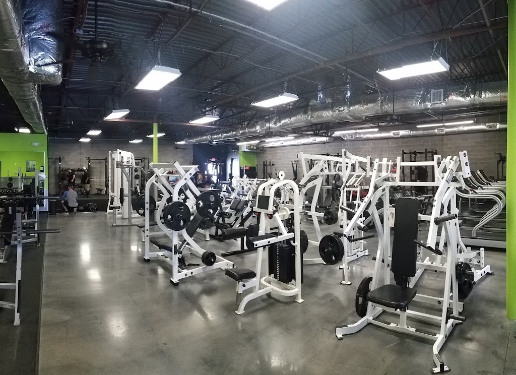  Iron Forged Fitness