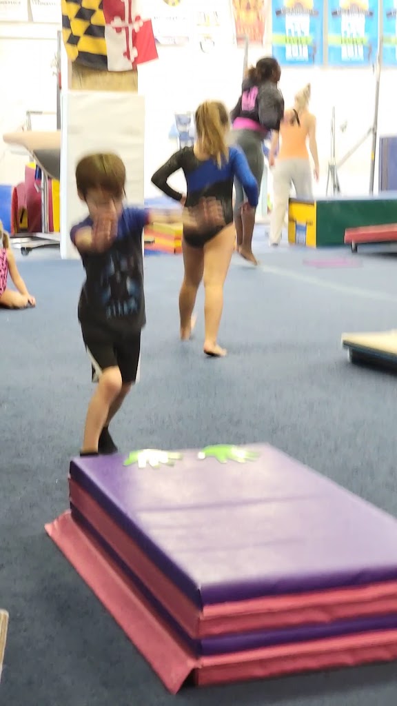  Tidewater Gymnastics