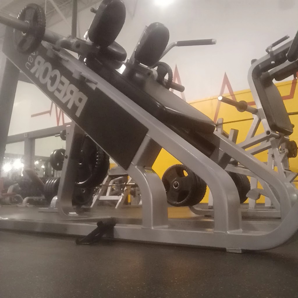  191 Resolution Fitness