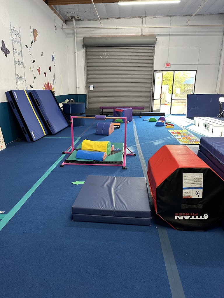  Progression Gymnastics, LLC