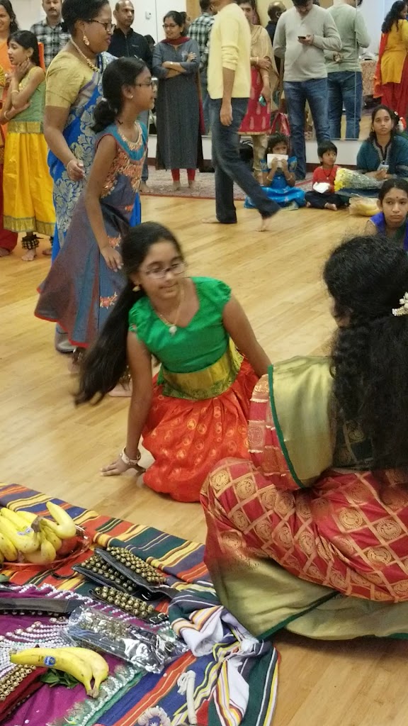  Acharya Performing Arts Academy Inc