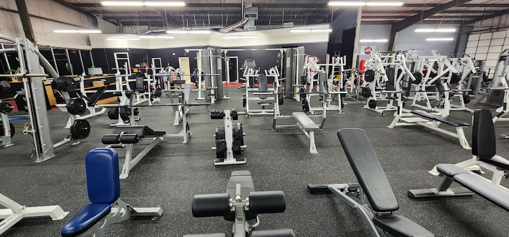  Joe's fitness revolution