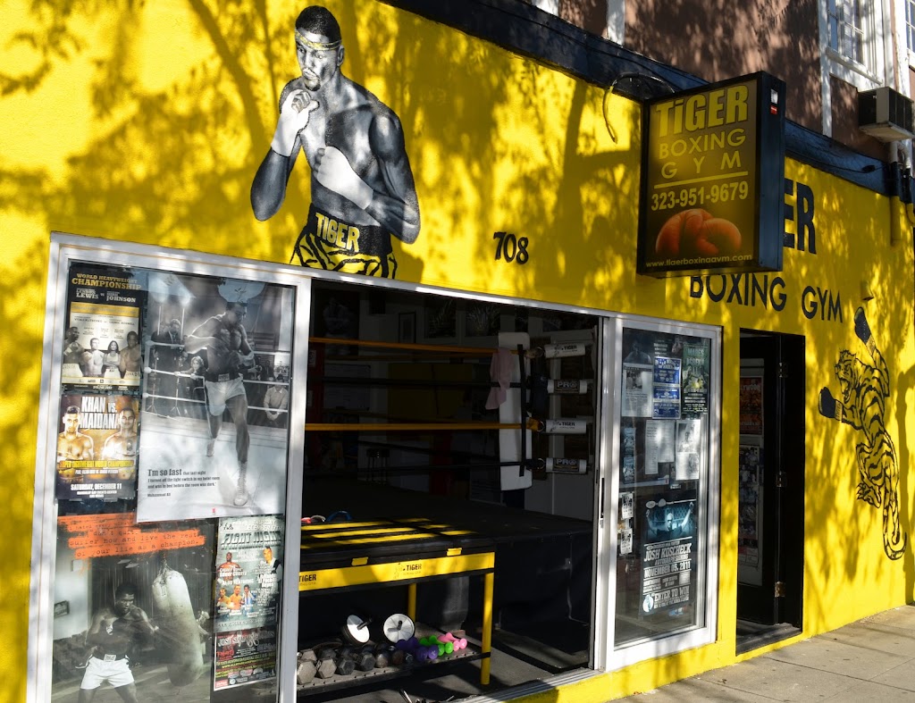  Tiger Boxing Gym