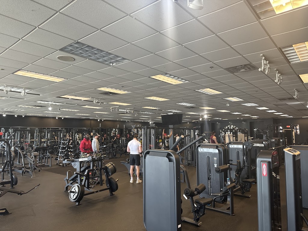  The King Of Gains Gym & Nutrition Center