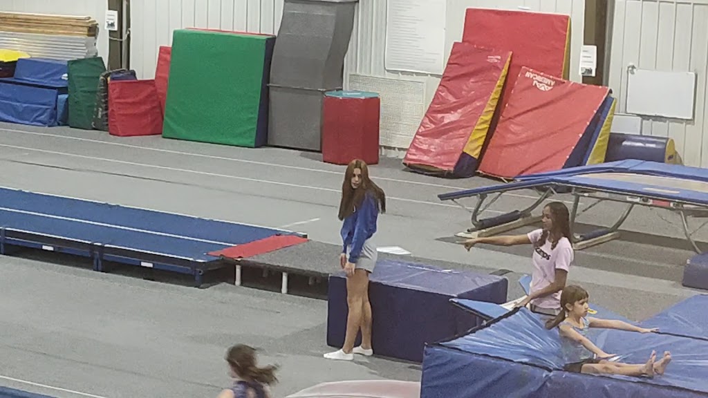 Scamps Gymnastics