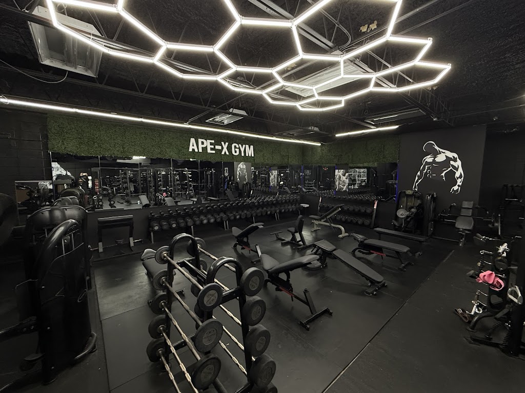  APE-X GYM