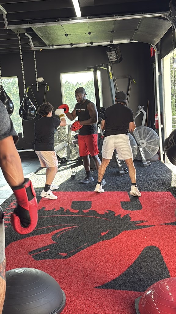  Black Stallion Boxing Plus