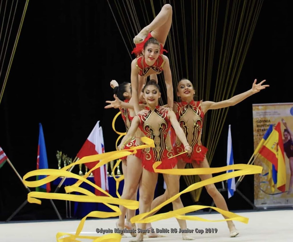  Vitrychenko Gymnastics Academy in Chicago, IL