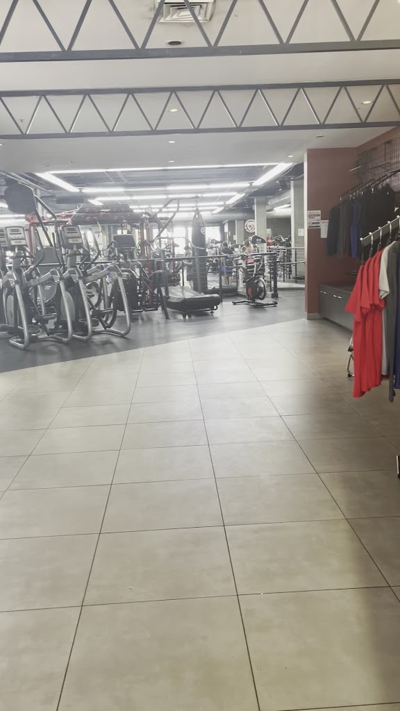  American Barbell Clubs