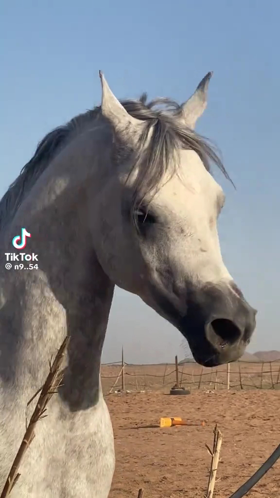  RJ's Personal Fitness