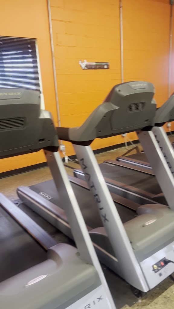  Taylor Made Wellness