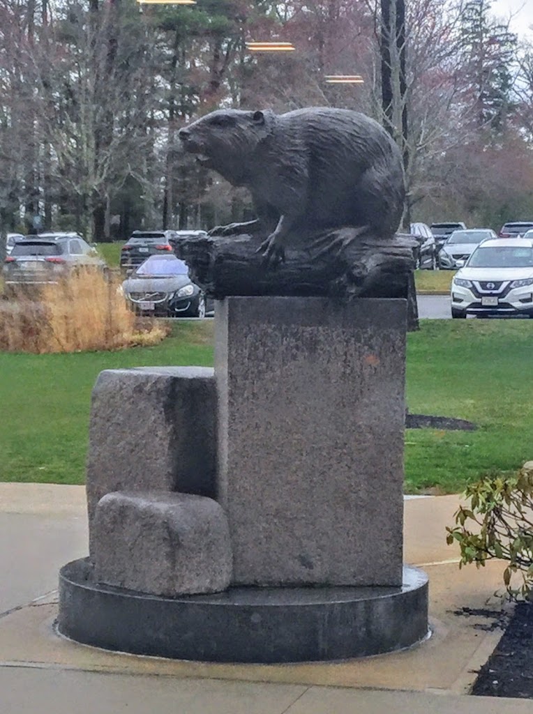  BRAC: Babson Recreation & Athletics Complex