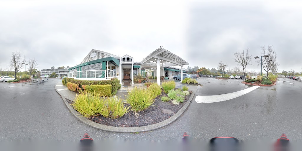  Sonoma Fit Mill Valley