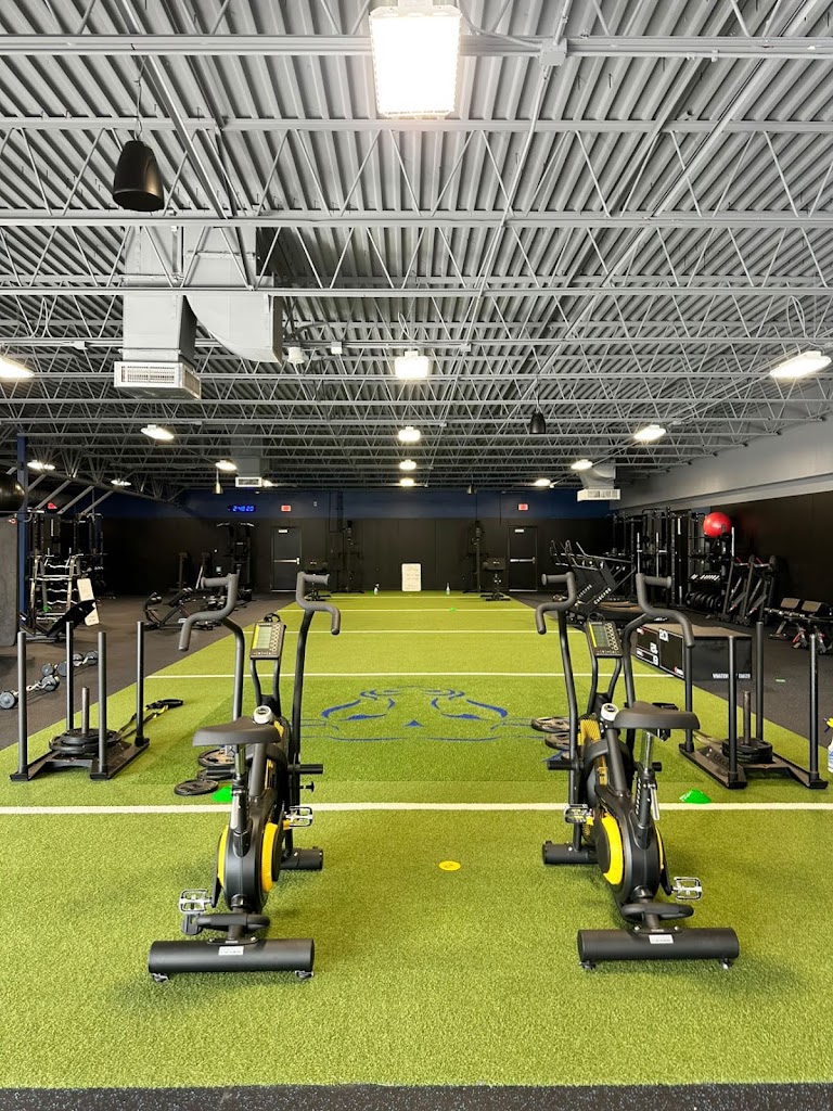  Pit Fitness Wellington