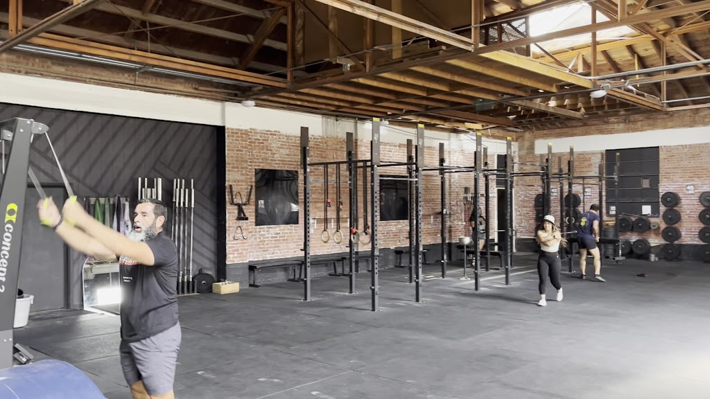  The Pack Training Co.